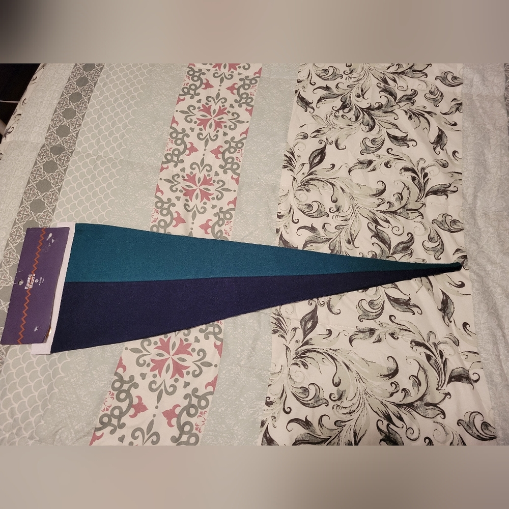 rowing blazers pennant blue and green